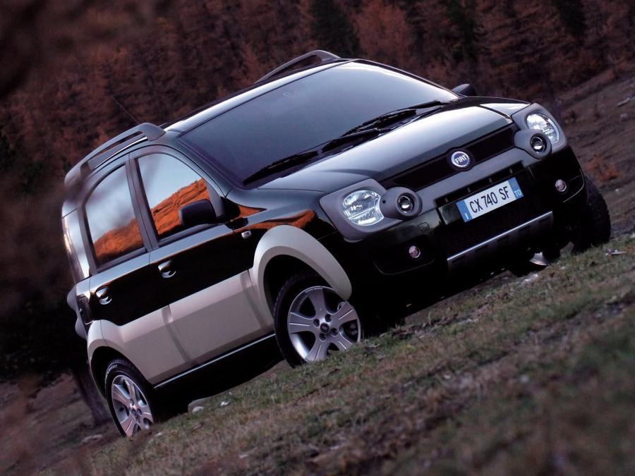  Fiat Panda Cross 2005 года  (фото 15 из 48)